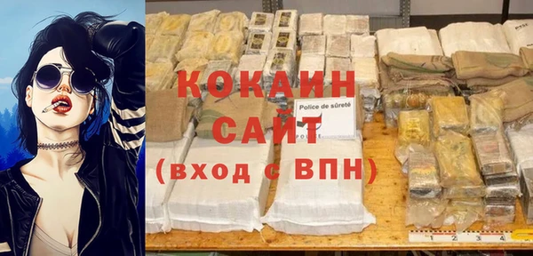 трава Белокуриха