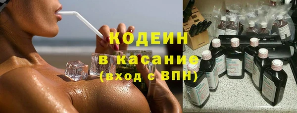 трава Белокуриха