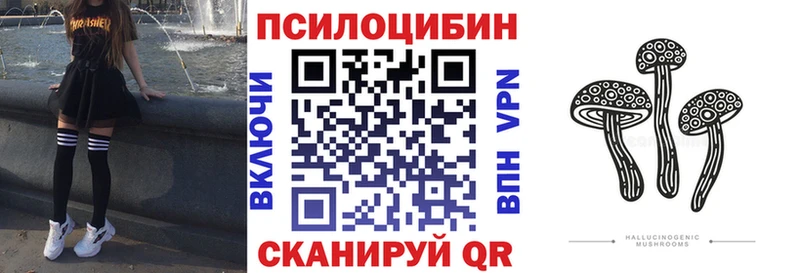 где купить наркоту  Рудня  Псилоцибиновые грибы Psilocybe 